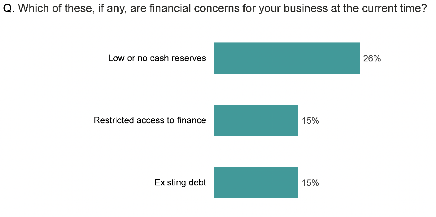 Bar chart showing that 26% of businesses had low or no cash reserves, 15% had restricted access to finance, and 15% had existing debt