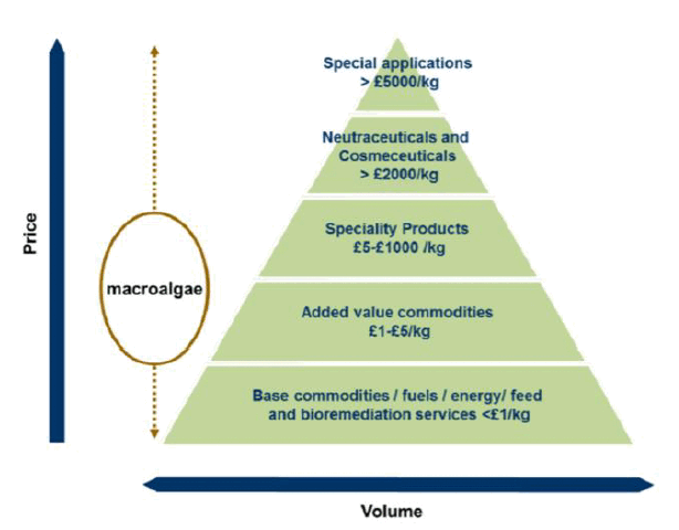 This chart is a pyramid which shows the pricing of products from macroalgae and current capacity for macroalgae production in the UK. The chart includes estimates for prices and a visual scale for the volume of capacity based on a comparison between each product type. The volume of capacity is highest at the bottom of the pyramid and decreases upwards. Beginning at the bottom of the pyramid and working up, there is base commodities / fuels / energy / feed and bioremediation services which are priced at less than £1/kg. The next product type is added value commodities which have a price of £1-£5/kg. Then there are speciality products, at £5-£1000/k. Then there are neutraceuticals and cosmeceuticals, at > £2000/kg. At the top of the pyramid, there is special applications, at >£5000kg.  