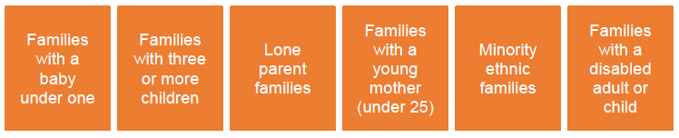Families with a baby under one, families with three or more children, lone parent families, young mother (under 25), minority ethnic families and families with a disabled adult or child