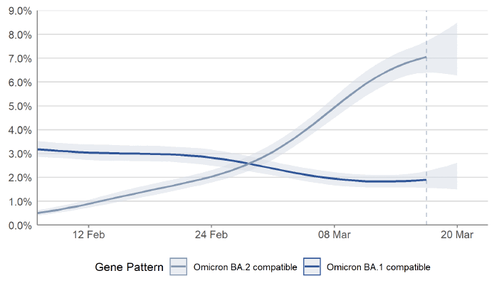 a line chart showing the modelled percentage of positive infections compatible with the Omicron BA.1 variant and Omicron BA.2 variant, based on nose and throat swabs, daily, in Scotland, from 7 February to 20 March 2022, including 95% credible intervals. In Scotland, the percentage of people with infections compatible with Omicron BA.2 continued to increase in the most recent week. The percentage of people with infections compatible with Omicron BA.1 decreased in the most recent two weeks but the trend was uncertain in the most recent week.