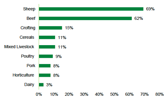 A horizontal bar chart showing the main farming enterprises of respondents. The X axis presents the percentage of respondents, and the Y axis presents various options of farming enterprises. Sheep and beef were the most common, with 69 and 62% of the sample reporting these, respectively. Only 8% had horticulture as a main enterprise, and 3% report dairy.