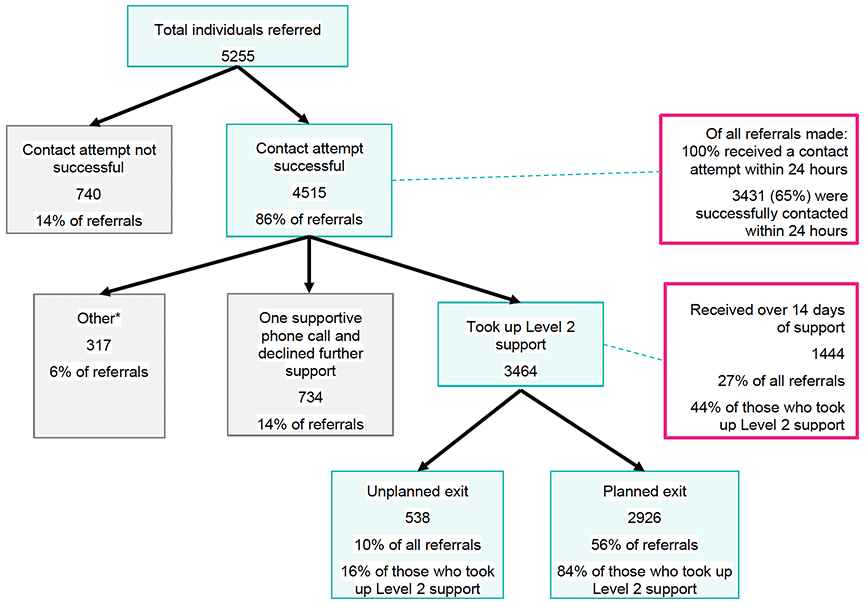 This flowchart shows the outcomes for the 5255 individuals referred to DBI Level 2. All figures are given in Section 4.5 in the main text. Further data is available in Appendix 3, Tables A4.7 and A4.8.