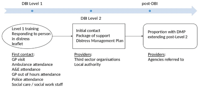 The typical pathway for an individual through DBI is through Level 1 where contact is made by GP, Ambulance service, A&E departments, police or social care, to Level 2 where support is provided by the third sector or local authorities, to post-DBI where the individual may be referred on to other agencies.