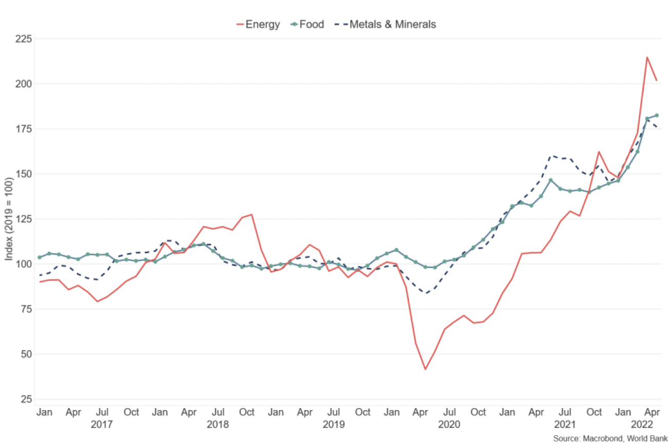 Line chart showing commodity price indices for energy, food, metals and minerals since 2017.