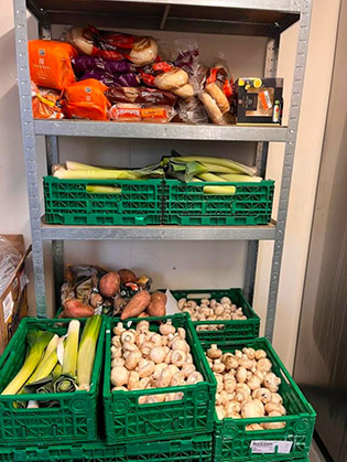 A photo of vegetables in crates.  It is surplus produce from the local supermarket.