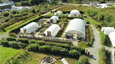 A photo of polytunnels which collectively are known as the Growers Hub.