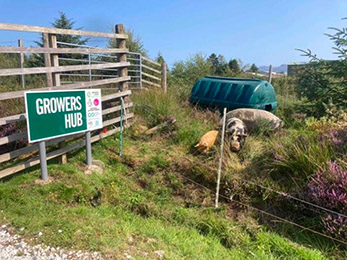 A photo of a sign saying Growers Hub in a field with a fence.