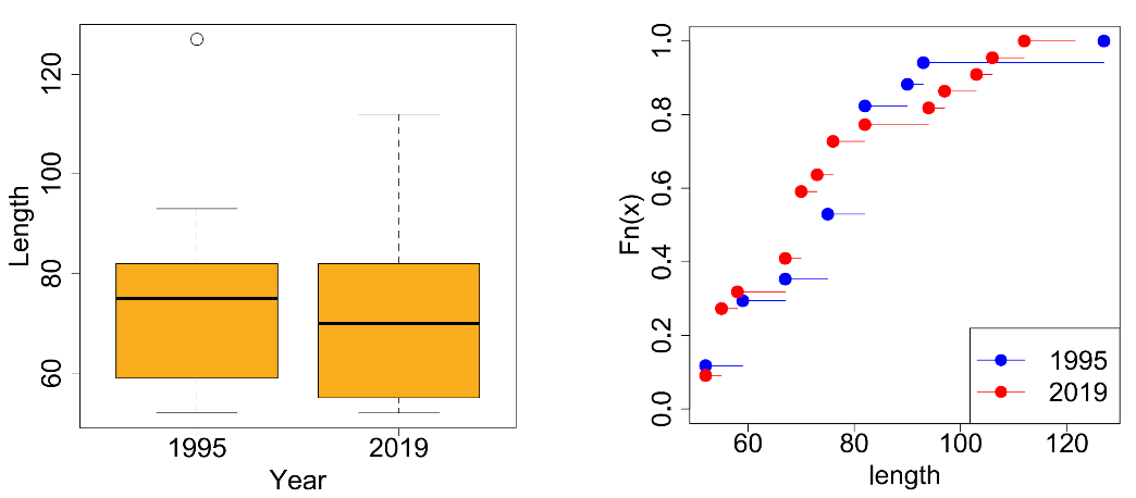 Boxplots for the estimated Salmon lengths from the stomach contents of R. Nith Goosander smolt run sample period 2019 and another broadly comparable sample (left), and plots of empirical Cumulative Distribution Functions (ecdf) for the same data (right). Further sample details in Figure 25, note on boxplot presentation in Methods.