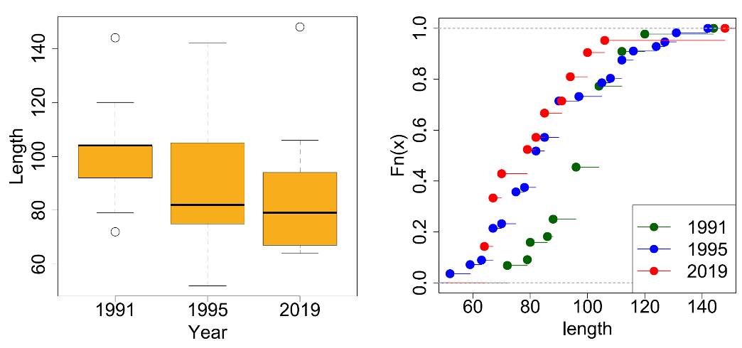 Boxplots for the estimated Salmon lengths from the stomach contents of R. Tweed Goosander smolt run sample period 2019 and two other broadly comparable samples (a, left), and plots of empirical Cumulative Distribution Functions (ecdf) for the same data (b, right). Further sample details in Figure 27, note on boxplot presentation in Methods.