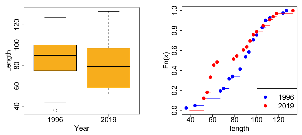 Boxplots for the estimated Salmon lengths from the stomach contents of R. Spey Goosander smolt run sample period 2019 and another broadly comparable sample (left), and plots of empirical Cumulative Distribution Functions (ecdf) for the same data (right). Further sample details in Figure 29, note on boxplot presentation in Methods.