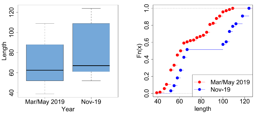 Boxplots for the estimated Salmon lengths from the stomach contents of River Dee Goosander samples from Mar-May and Nov 2019 (left), and plots of empirical Cumulative Distribution Functions (ecdf) for the same data (right). Further sample details in Figure 33, note on boxplot presentation in Methods.