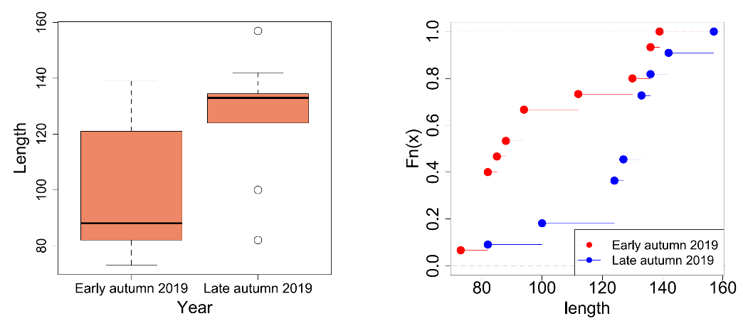 Boxplots for the estimated Salmon lengths from the stomach contents of River Tweed Cormorant samples in early and late autumn (left), and plots of empirical Cumulative Distribution Functions (ecdf) for the same data (right). Further sample details in Figure 43, note on boxplot presentation in Methods.