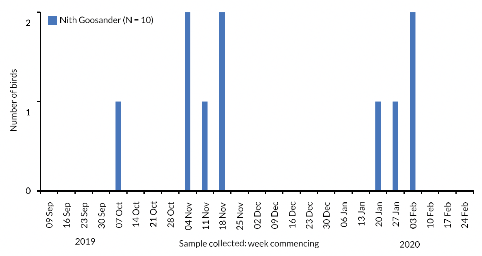 Bar chart of the number of River Nith Goosanders collected each week during the autumn-winter period 2019/20.