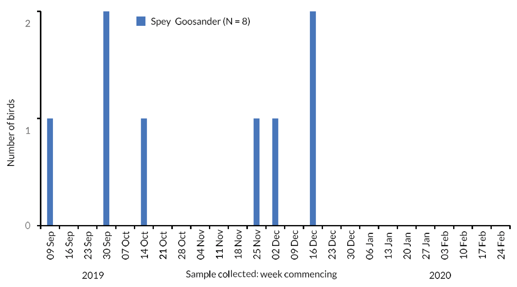 Bar chart of the number of River Spey Goosanders collected each week during the autumn-winter period 2019/20.