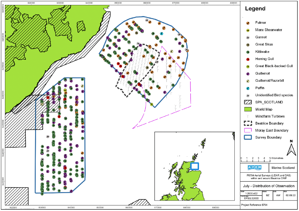 A map showing the two survey areas, Moray East, Beatrice, and SPAs overlaid with species observations. There is overlap between the northwest of the western survey area and the SPA. The species observations are more randomly spread than in figure III.1
