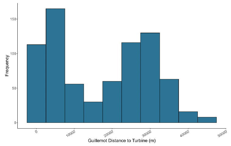 A histogram showing the distance of guillemot to turbines in meters, with frequency on the y axis and distance to turbine on the x axis. The histograms peak at around 50000 meters with a frequency of 160, then decrease and then raise again to 125 frequency at 30000 meters, after which it decreases