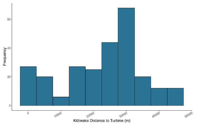 A histogram showing the distance of kittiwake to turbines in meters, with frequency on the y axis and distance to turbine on the x axis. The histogram peaks at around 30000 meters with a frequency of 70, with significant dips at 10000 and after the peak of 30000