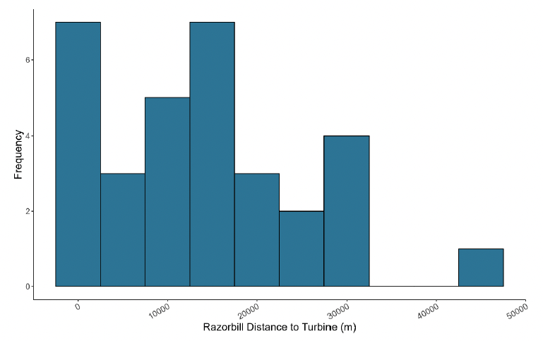 A histogram showing the distance of razorbill to turbines in meters, with frequency on the y axis and distance to turbine on the x axis. The histogram peaks at around 0 and 15000 meters with a frequency of 7. There was no pattern to the remaining frequencies, but 35000 and 40000 meters had no frequency.