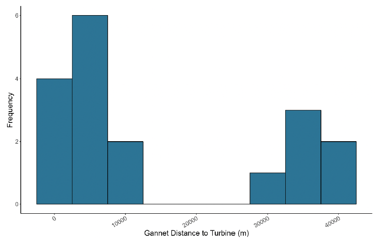A histogram showing the distance of gannet to turbines in meters in July, with frequency on the y axis and distance to turbine on the x axis. The histogram peaks at around 5000 meters with a frequency of 6. The remaining frequencies ranged from 4 to 1 except for 25000 and 20000 with no frequencies