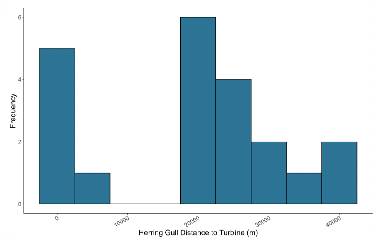 A histogram showing the distance of herring gull to turbines in meters in July, with frequency on the y axis and distance to turbine on the x axis. The histogram peaks at around 20000 meters with a frequency of 6, after which the frequencies steadily decreased. Before 20000there was a peak at 0 meters of 5 and then 1 at 5000 but nothing at 10000 and 15000.