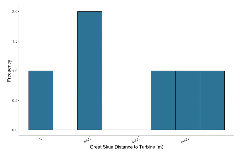 A histogram showing the distance of great skua to turbines in meters in July, with frequency on the y axis and distance to turbine on the x axis. The histogram peaks at around 2000 meters with a frequency of 2, aside from which the frequencies were 1 at 0, 5000, 6000, and 7000 meters. The rest had no records