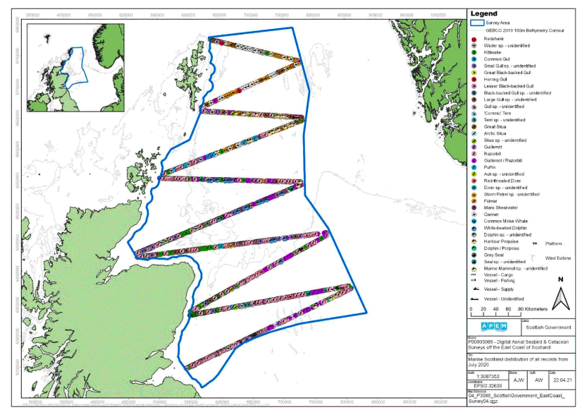 A map showing the East Coast of Scotland survey area and the distribution of avian fauna, marine megafauna and human artefacts recorded in Survey 4, represented by different symbols across the survey area. There are many symbols, with some overlapping, however the main points are an abundance and mixture of razorbills.