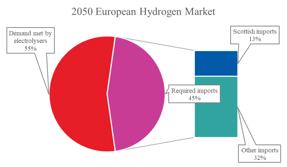 A chart showing an assessment of the 2050 European market and potential for Scottish imports.  On the left is a pie chart showing 55% of European demand met by electrolysers and 45% met by imports.  On the right, the imports is expanded to show that there is potential for Scotland to capture 13% of the import market.