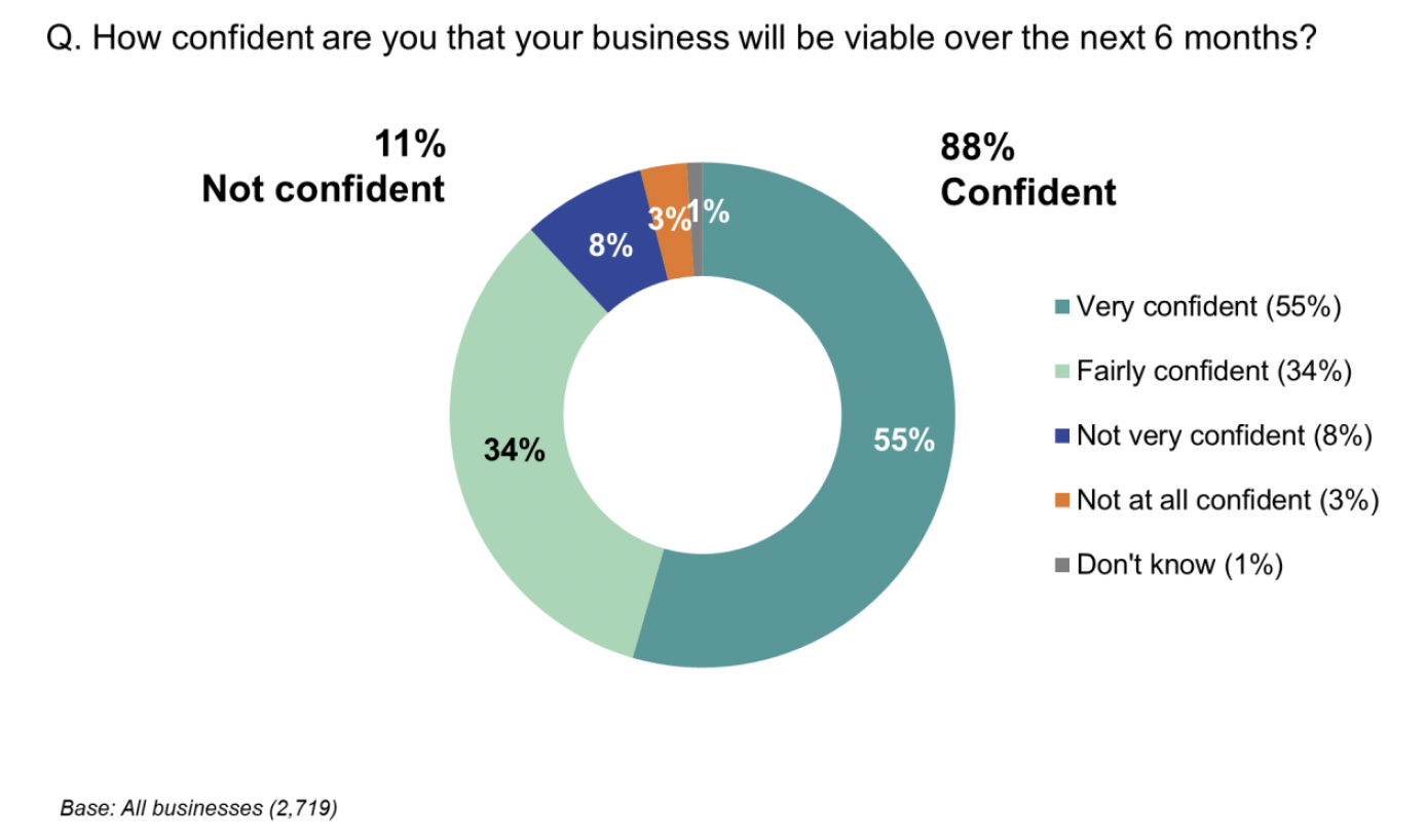 Pie chart showing the majority of businesses were confident that their business would be viable over the next six months
