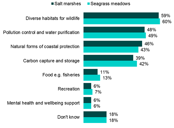 a bar chart that illustrates which reasons respondents felt were the most important for restoring salt marshes and seagrass meadows as reported in the previous three paragraphs.