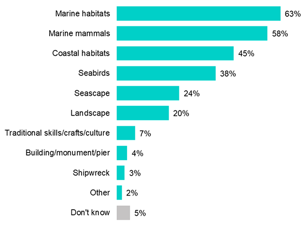 a bar chart that shows what the most common actions taken to protect the marine environment were as reported in the previous paragraph.