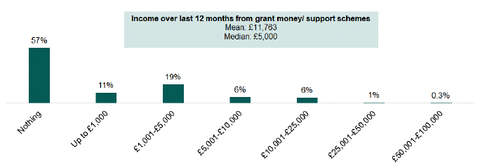 Bar chart showing the approximate income from Grant money/ support schemes from the last 12 months. An explanation of the chart is below.