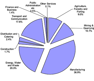 A Pie chart showing slices representing the proportion of the Scottish Government’s Imported emissions arising from each sector. In order of largest to smallest these slices are: Manufacturing (36.9%), Energy, Water and Waste (20.3%), Transport and communication (17.6%), Mining & Quarrying (10.1%), Agriculture, Forestry and Fishing (9.0%), Distribution and Catering (2.4%), Construction (1.7%), Finance and Business (1.4%), Public Administration (0.5%), Other services (0.1%)
