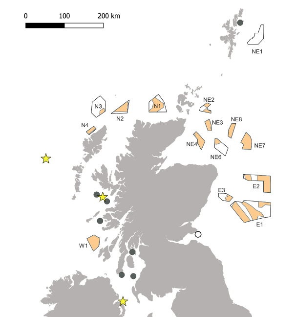 Map of Scotland and Northern Ireland showing ScotWind Leasing Sites, as well as yellow stars indicating the location of SPAs with Manx shearwater as a designated feature: St. Kilda, Rum, Copland Islands and additional grey circles non-SPA colonies in the administative areas: Shetland, Argyll & Bute, Cunninghame, Kyle & Carrick

