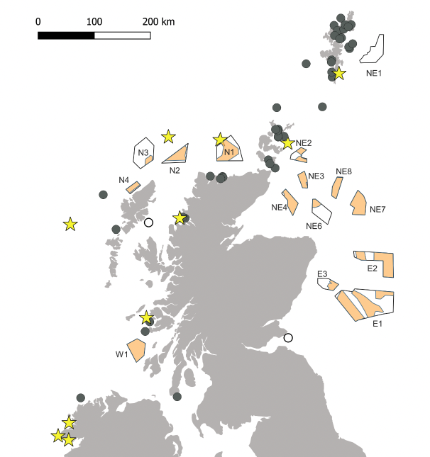 Map of Scotland and Northern Ireland showing ScotWind Leasing Sites, as well as yellow stars indicating the location of SPAs with European Storm-petrel as a designated feature: Mousa on the Shetland Isles, Auskerry, Sule Skerry & Sule Stack on the Orkney Islands, Priest Island in Ross & Cromarty, Treshnish Isles in Argyll & Bute, St Kilda, North Rona and Sula Sgeir in the Western Isles. Further colonies are shown with grey circles in the administative areas: Sheltand, Orkney, Sutherland, Ross & Cromarty, Argyll & Bute and the Western Isles. 



 and additional grey circles non-SPA colonies in the administative areas: Shetland, Argyll & Bute, Cunninghame, Kyle & Carrick
