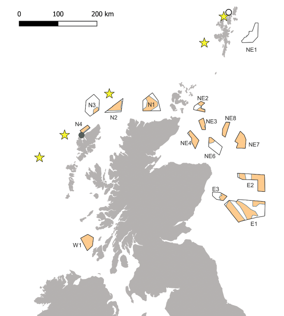 Map of Scotland and Northern Ireland showing ScotWind Leasing Sites, as well as yellow stars indicating the location of SPAs with Leach's Storm-petrel as a designated feature: Foula & Gruney on the Shetland Isles, Sule Skerry on the Orkney Islands, St Kilda, North Rona, Flannan Isles, Loch Roag and Sula Sgeir in the Western Isles. Further colonies are shown with grey circles in the administative area of the Western Isles. 