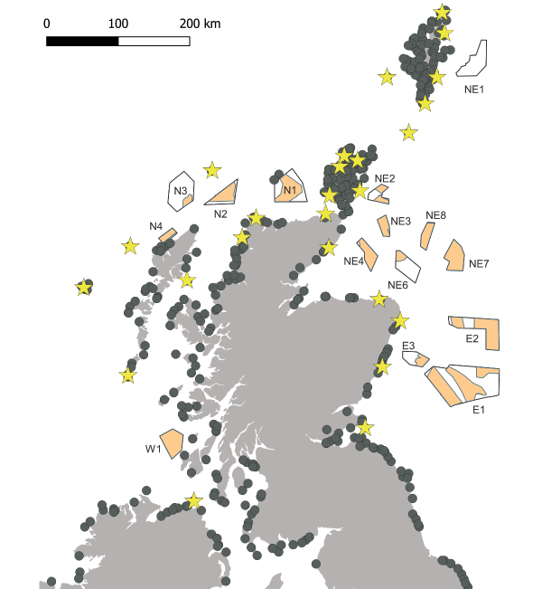 Map of Scotland and Northern Ireland showing ScotWind Leasing Sites, as well as yellow stars indicating the location of SPAs with Fulmar as a designated feature and additional colonies in grey circles. These colonies are widespread across all coastal regions of Scotland and Nothern Ireland.