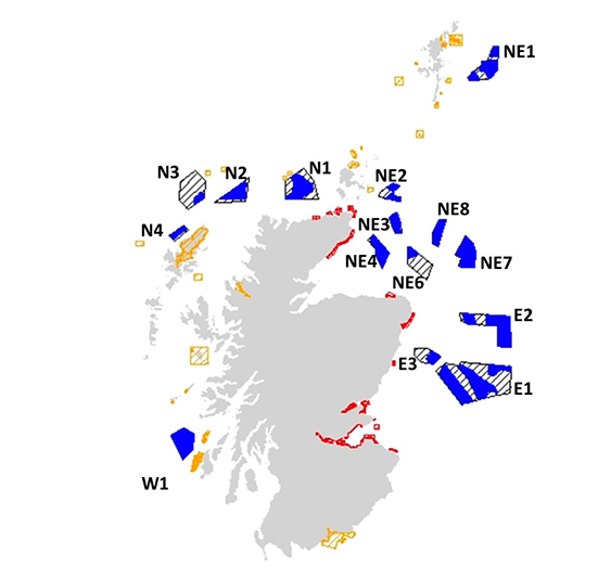Locations of Scotwind plan option areas, agreement offer areas and the special protection areas for which conclusions of no adverse effects on site integrity could not be reached.