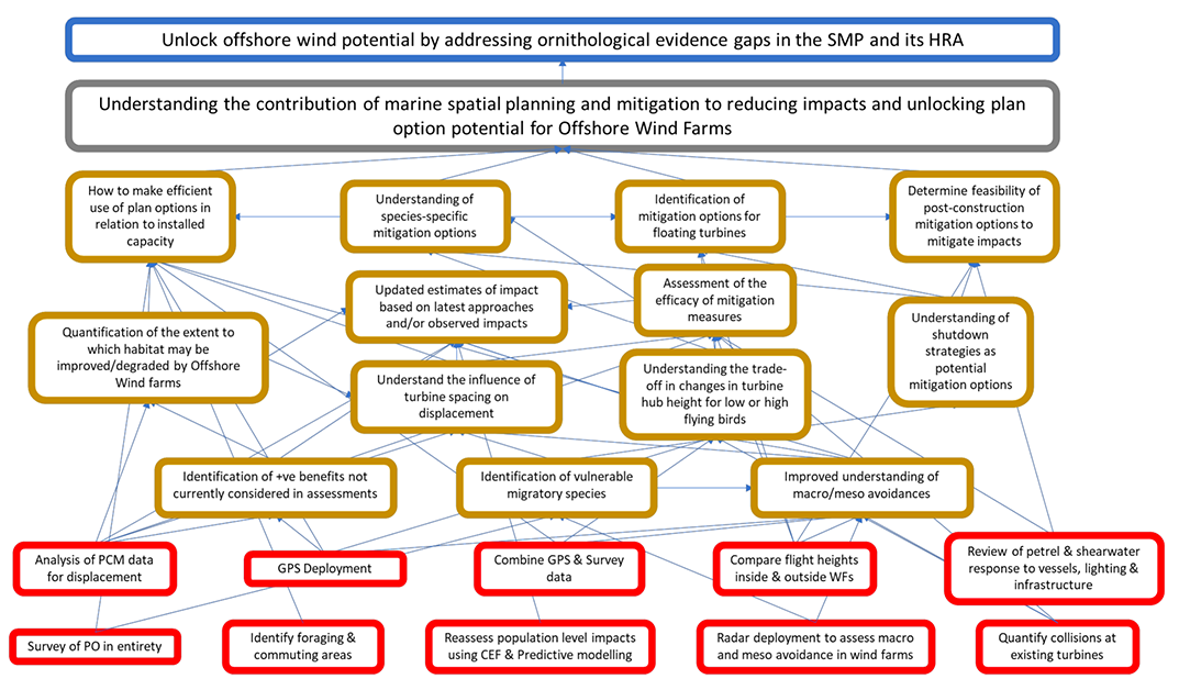 Actions and Outputs needed to meet the Outcome of understanding the contribution of marine spatial planning and mitigation to reducing impacts and unlocking plan option potential for offshore wind farms. 