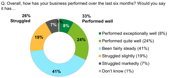 Pie chart showing that the majority of businesses had steady performance in the past 6 months