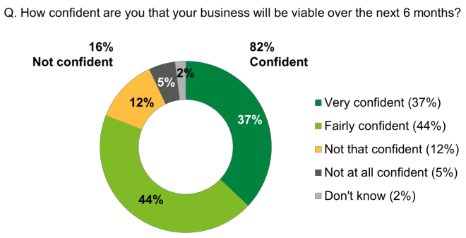 Pie chart showing that the majority of businesses were confident that they were going to be viable over the next six months