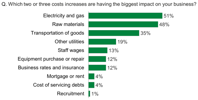 Bar chart showing that the cost increase of electricity and gas, and raw materials, had the biggest impact on businesses