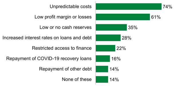 Bar chart showing that unpredictable costs was the top financial concern for businesses