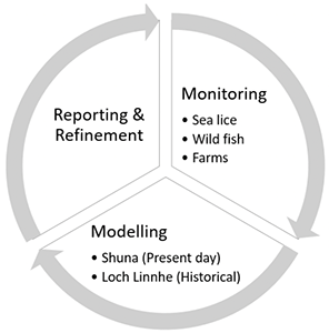 Cyclical plot with three sections, the first section “Monitoring” of sea lice on farms and wild fish, feeds into the second section “modelling” which was carried out in Shuna in 2021, and Loch Linnhe in past years, the final section of this cycle reporting the details of the monitoring and modelling, leading to recommendations for refinements of the modelling and monitoring.