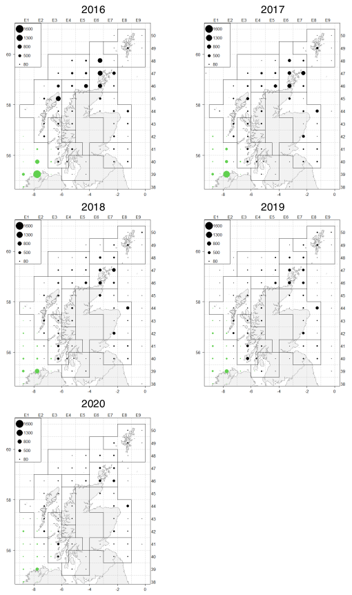 shows Brown crab landings by statistical rectangle between 2016 and 2020 landed by vessels from Scotland and Ireland. Scottish landings are distributed around Scotland mainland and islands while Irish landings are concentrated to the north of Ireland and Malin Shelf to the west of South Minch.