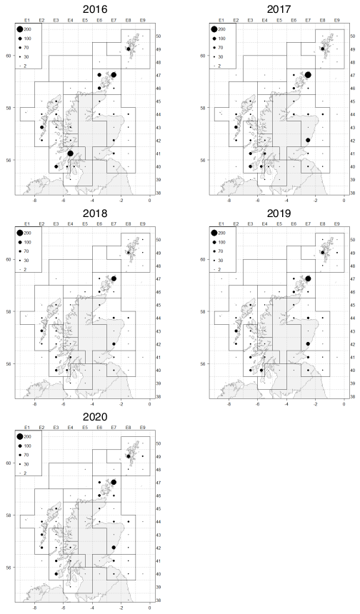 shows Velvet crab landings by statistical rectangle between 2016 and 2020 Landings are distributed around the inshore waters of Scotland mainland and Islands.
