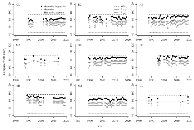 shows velvet crab male trends in the mean size in landings, mean size of the largest 5% of individuals and size at first capture by assessment area in the period 1981-2019. Each of the mentioned variables are compared to the respective reference points. A minimum of 50 individuals was used each year to calculate mean sizes.