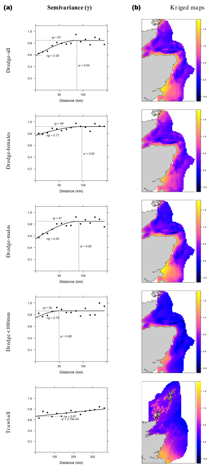 shows in the left column, variograms for the east coast of Scotland, estimating semi-variance with spherical and linear models. In the right column, kriged maps are presented showing predicted catch rates. There are five analysis scenarios considered displayed in this figure from top to bottom: all crabs (dredge), females (dredge), males (dredge), juveniles (dredge), and all crabs (trawl).