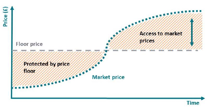 in an emerging market, a price floor mechanism can be used to guarantee a minimum price paid for a commodity / service produced in that market. Overtime, higher prices paid in the market mean that the price floor is not required.