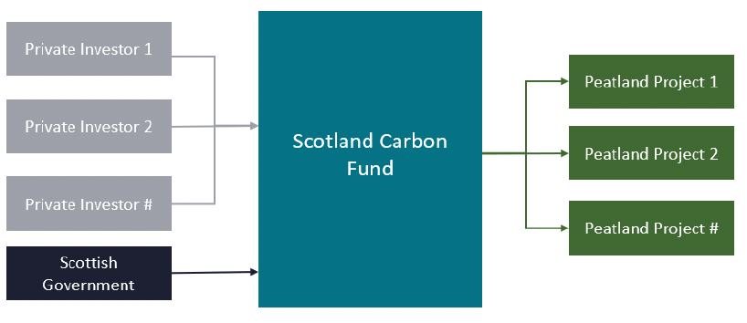 a Scotland Carbon Fund (SCF) would provide an investment vehicle to enable private capital to invest in high-quality peatland restoration projects. The Scottish Government could be a public co-investor.