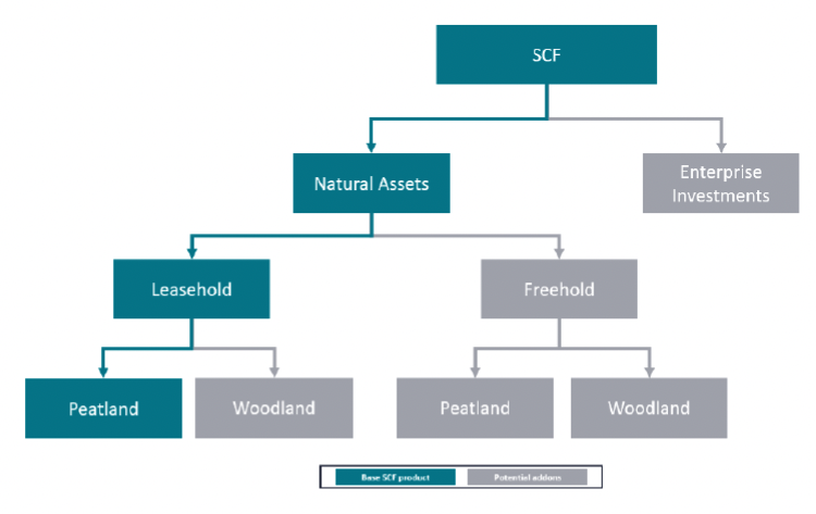 Figure 14: there are different options for investment mandate within a Scotland Carbon Fund (SCF) including investment in natural assets via leasehold and freehold options and investing in companies.